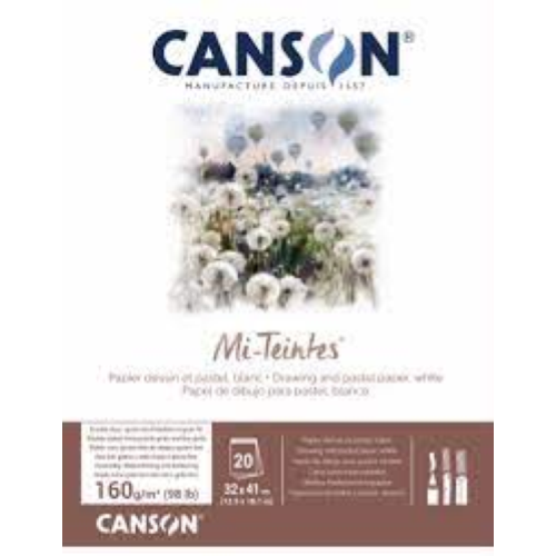 ALBUM CARTA PER PASTELLO E DISEGNO MI-TEINTES BIANCA CM 32 X 41 GR MQ 160 CANSON
