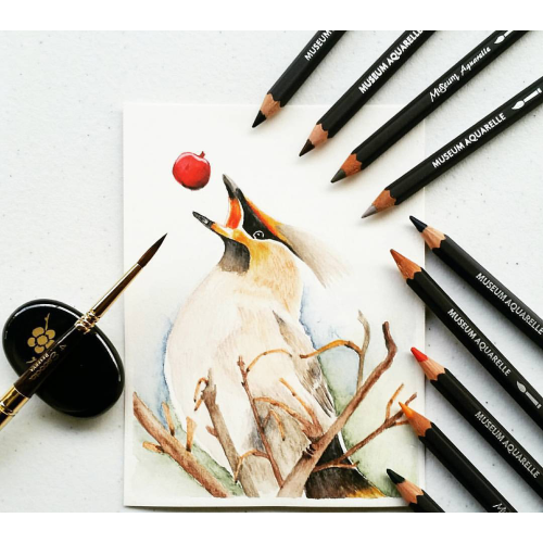 MATITA ACQUERELLABILE EXTRA FINE MUSEUM AQUARELLE CARAN D'ACHE