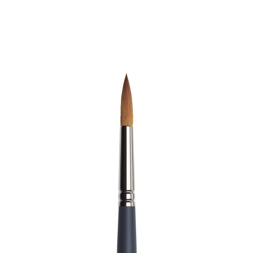 PENNELLO WINSOR & NEWTON PROFESSIONAL SERIE 50111 - TONDO SINTETICO IMIT. MARTORA MANICO CORTO