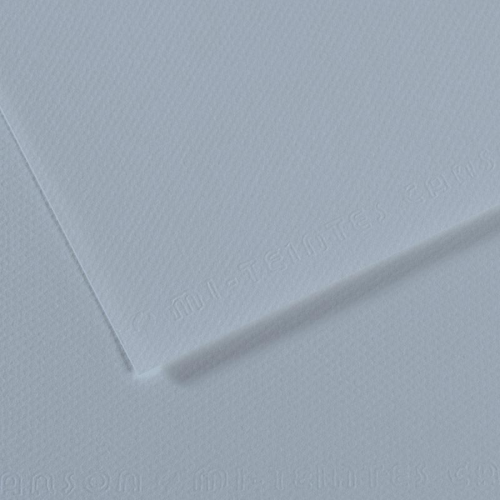 FOGLIO CARTA PER PASTELLO E DISEGNO CANSON MI-TEINTES CM 50 X 65 GR MQ 160