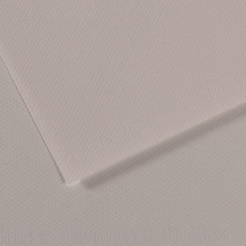 FOGLIO CARTA PER PASTELLO E DISEGNO CANSON MI-TEINTES CM 50 X 65 GR MQ 160