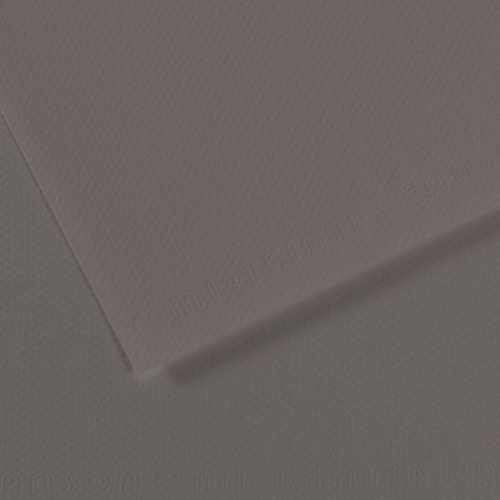 FOGLIO CARTA PER PASTELLO E DISEGNO CANSON MI-TEINTES CM 50 X 65 GR MQ 160