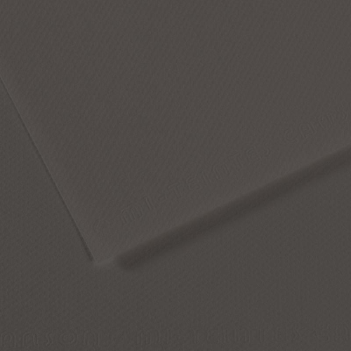 FOGLIO CARTA PER PASTELLO E DISEGNO CANSON MI-TEINTES CM 50 X 65 GR MQ 160