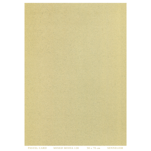 FOGLIO CARTA PER PASTELLO E TECNICHE MISTE CM 50 X 70 GR MQ 410 PASTEL CARD SENNELIER