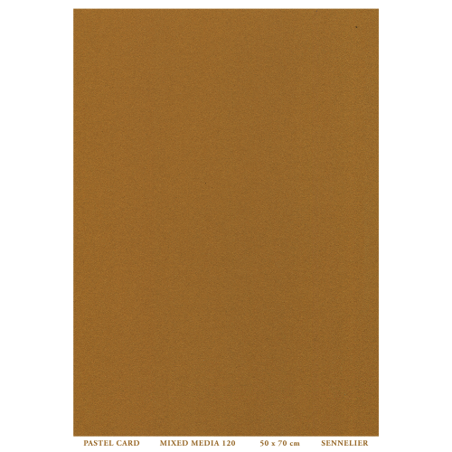 FOGLIO CARTA PER PASTELLO E TECNICHE MISTE CM 50 X 70 GR MQ 410 PASTEL CARD SENNELIER