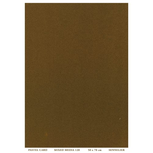 FOGLIO CARTA PER PASTELLO E TECNICHE MISTE CM 50 X 70 GR MQ 410 PASTEL CARD SENNELIER