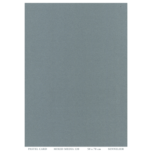 FOGLIO CARTA PER PASTELLO E TECNICHE MISTE CM 50 X 70 GR MQ 410 PASTEL CARD SENNELIER