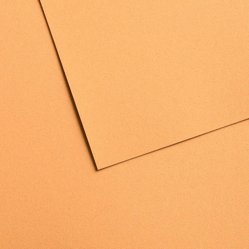 FOGLIO CARTA PER PASTELLO E DISEGNO CANSON MI-TEINTES VELVET CM 50 X 65 GR MQ 430