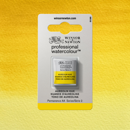 COLORE ACQUERELLO EXTRAFINE 1/2 GODET PROFESSIONAL WINSOR & NEWTON