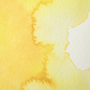 COLORE ACQUERELLO EXTRAFINE 1/2 GODET PROFESSIONAL WINSOR & NEWTON