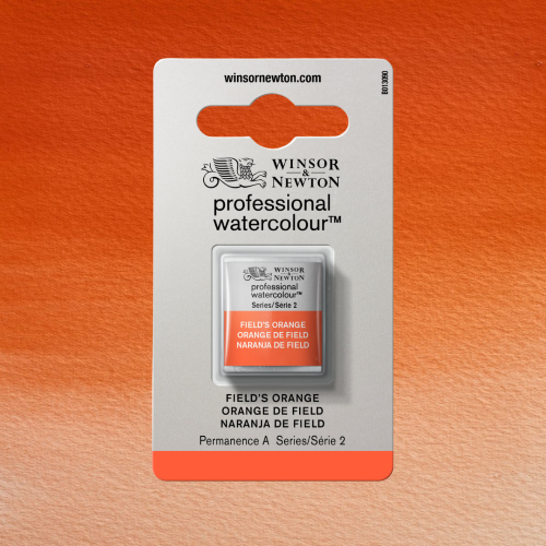COLORE ACQUERELLO EXTRAFINE 1/2 GODET PROFESSIONAL WINSOR & NEWTON