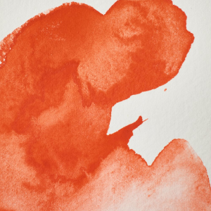 COLORE ACQUERELLO EXTRAFINE 1/2 GODET PROFESSIONAL WINSOR & NEWTON
