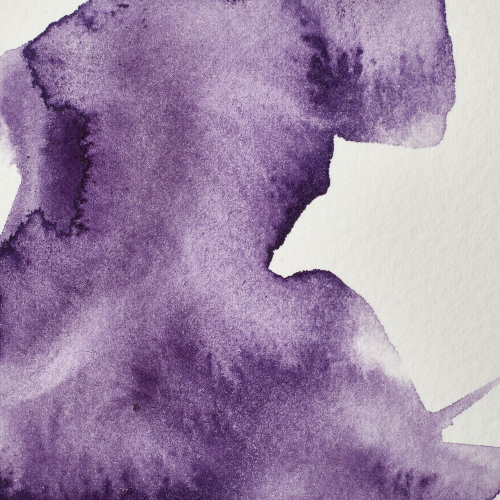 COLORE ACQUERELLO EXTRAFINE 1/2 GODET PROFESSIONAL WINSOR & NEWTON