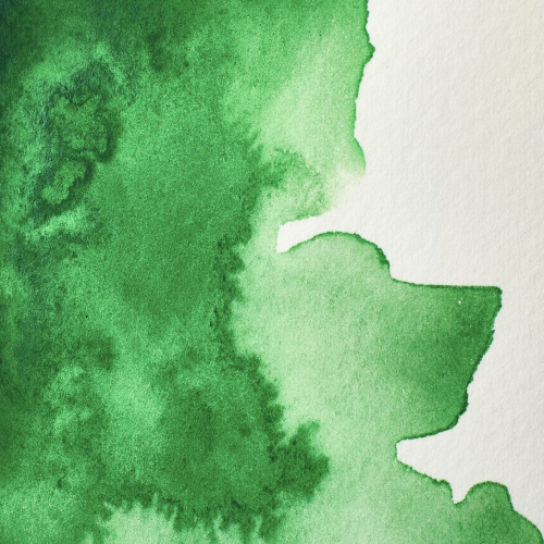 COLORE ACQUERELLO EXTRAFINE 1/2 GODET PROFESSIONAL WINSOR & NEWTON