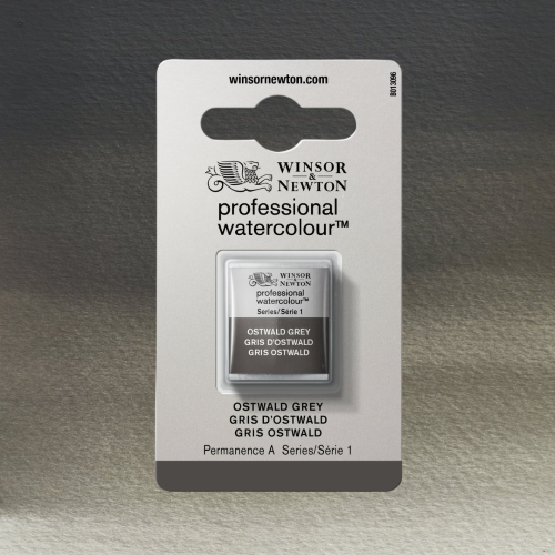 COLORE ACQUERELLO EXTRAFINE 1/2 GODET PROFESSIONAL WINSOR & NEWTON