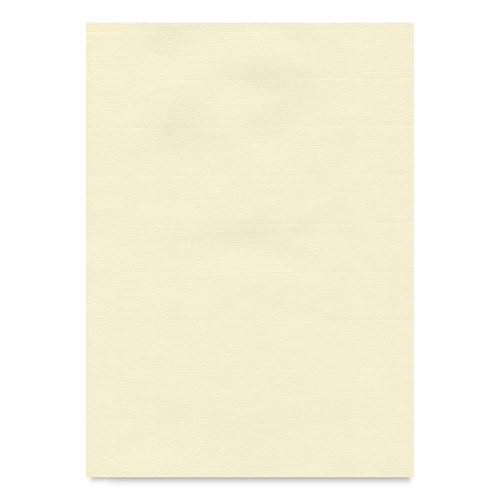 CARTA PER STAMPA D'ARTE, DISEGNO E PASTELLO CM 48 X 62,5 GR MQ 100 INGRES HAHNEMUHLE