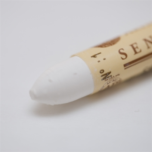 PASTELLO A OLIO SOLIDO 5 ML SENNELIER