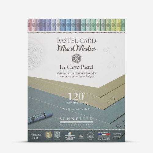 BLOCCO CARTA PER PASTELLO E TECNICHE MISTE CM 24 X 30 GR MQ 410 COLORI BLU SCURO E GRIGIO CHIARO PASTEL CARD SENNELIER
