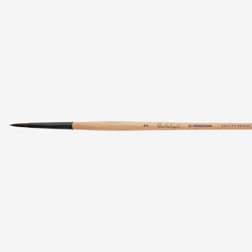 PENNELLO PRINCETON CATALYST POLYTIP SERIE P6400R - TONDO SINTETICO RIGIDO IMIT. SETOLA MANICO LUNGO