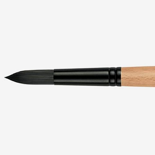 PENNELLO PRINCETON CATALYST POLYTIP SERIE P6400R - TONDO SINTETICO RIGIDO IMIT. SETOLA MANICO LUNGO