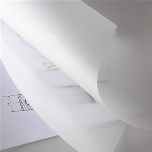 ROTOLO CARTA CANSON LUCIDA SATINATA ALTEZZA 0.75 X 10 MT - 90/95 GR MQ