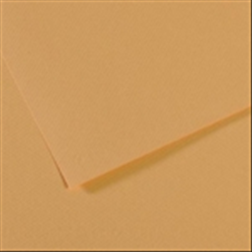 FOGLIO CARTA PER PASTELLO E DISEGNO CANSON MI-TEINTES CM 50 X 65 GR/MQ 160