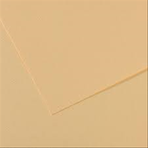 FOGLIO CARTA PER PASTELLO E DISEGNO CANSON MI-TEINTES CM 50 X 65 GR/MQ 160