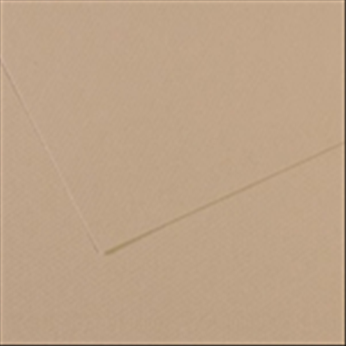 FOGLIO CARTA PER PASTELLO E DISEGNO CANSON MI-TEINTES CM 50 X 65 GR/MQ 160