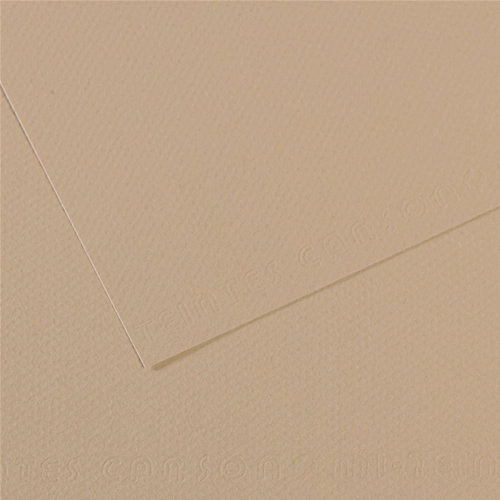 FOGLIO CARTA PER PASTELLO E DISEGNO CANSON MI-TEINTES CM 50 X 65 GR/MQ 160
