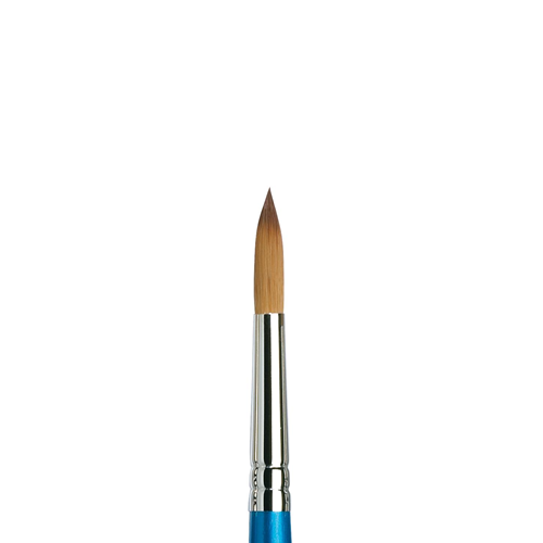 PENNELLO WINSOR & NEWTON COTMAN SERIE 111 - TONDO SINTETICO MANICO CORTO