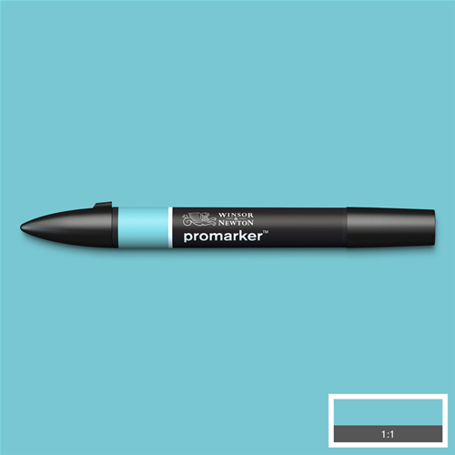 PENNARELLO AD ALCOL A DOPPIA PUNTA PROMARKER WINSOR E NEWTON
