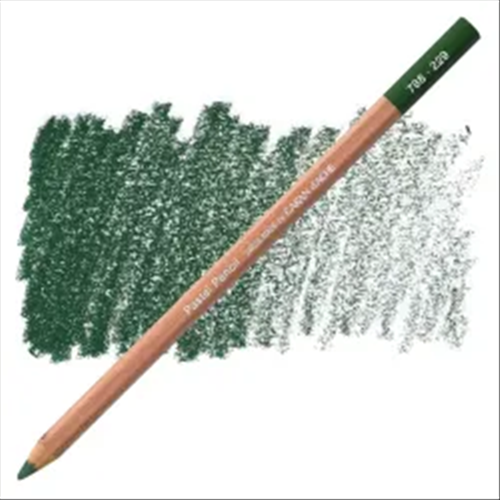MATITA PASTELLO MORBIDA PASTEL PENCILS CARAN D'ACHE