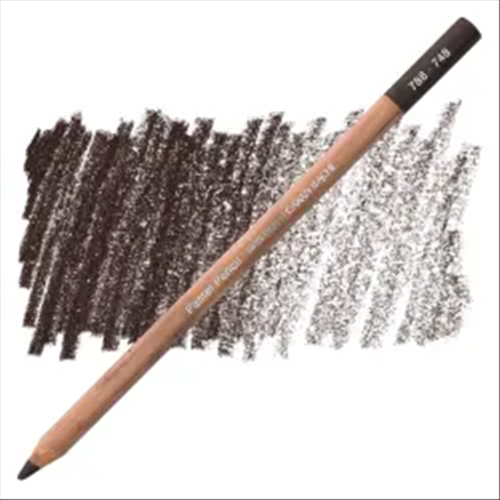MATITA PASTELLO MORBIDA PASTEL PENCILS CARAN D'ACHE
