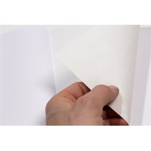 FOGLIO CARTA PER INCHIOSTRO DI CHINA SUMI-E CM 50 X 65 GR MQ 80 HAHNEMUHLE