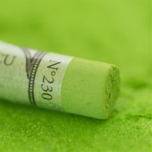 PASTELLO EXTRA MORBIDO PASTELS A L'ECU SENNELIER