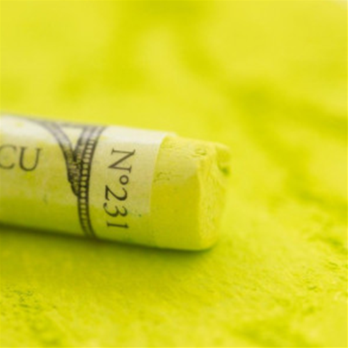 PASTELLO EXTRA MORBIDO PASTELS A L'ECU SENNELIER