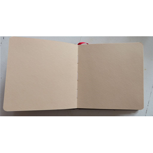 ALBUM PER ACQUERELLO TONED WATERCOLOUR BOOK CARTA BEIGE GR MQ 200 HAHNEMUHLE