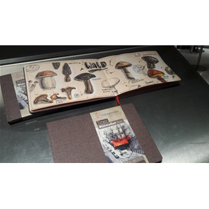 ALBUM PER ACQUERELLO TONED WATERCOLOUR BOOK CARTA BEIGE GR MQ 200 HAHNEMUHLE