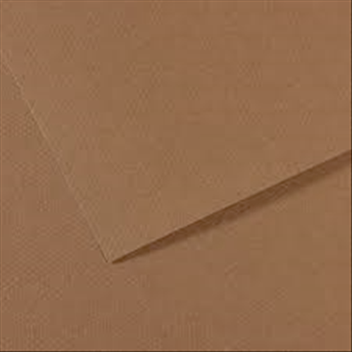 FOGLIO CARTA PER PASTELLO E DISEGNO CANSON MI-TEINTES CM 50 X 65 GR/MQ 160