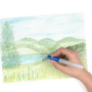 PENNA CON SERBATOIO D'ACQUA PUNTA PENNELLO PIATTA WATER BRUSH TOMBOW